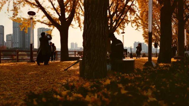 일상, 오존 FW45, 612