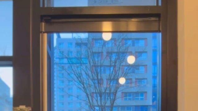 동성애자들 때문에 고통받는 헤테로남