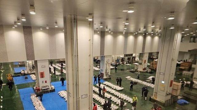 '일본판 가락시장' 도요스시장 가보니…안정적 유통 뜻은 같지만 다른 길[르포]