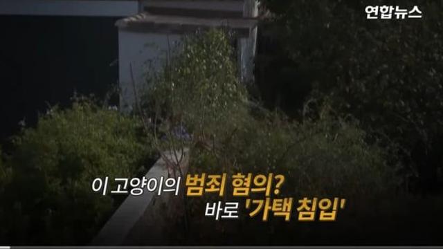 (프랑스)옆집에 침입해 똥싼 고양이 가택연금 + 벌금
