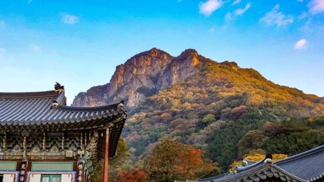 [여행honey] '조선 팔경' 백암산 백양사