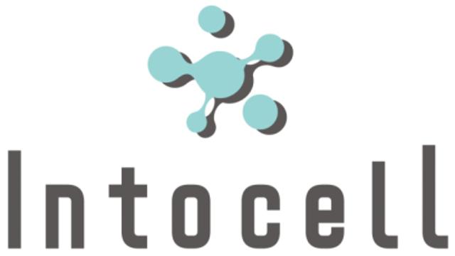 인투셀, 고형암 치료제 'ITC-6146RO' 임상 1상 계획 식약처 승인