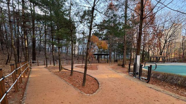 용인특례시, 큰솔 근린공원 맨발길 새단장