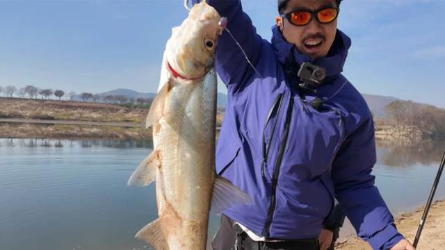 “이 물고기는 진짜 답이 없다” 전문가마저 버린 생선인데... 대반전