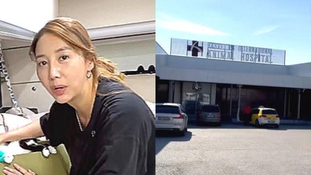 ‘암 투병’ 민지영, 여행 중 응급 진료…”최선 다할 것” [RE:뷰]