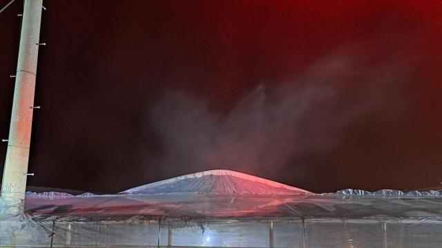 경북 고령 딸기 비닐하우스서 원인 미상 화재…1시간 20분만에 진화