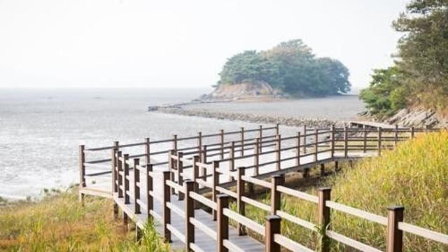 인천 도심 옆 작은 섬 세어도에 소각장 검토…환경단체 반발