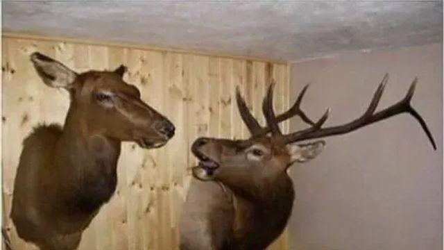 ???: 내가 호숫가에 가지 말자고 했지?,,