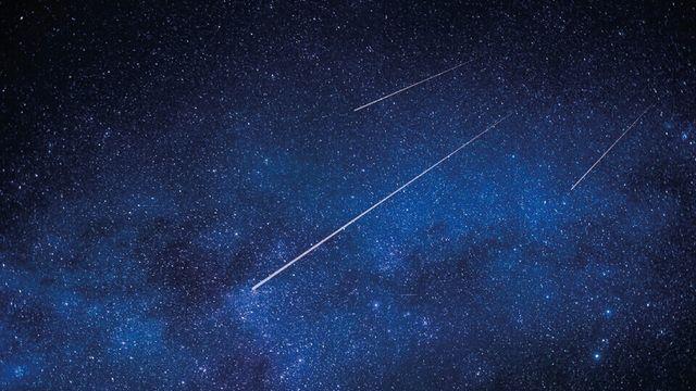 제주에서 쌍둥이자리 유성우 아래 겨울 숲속 힐링 즐겨요!