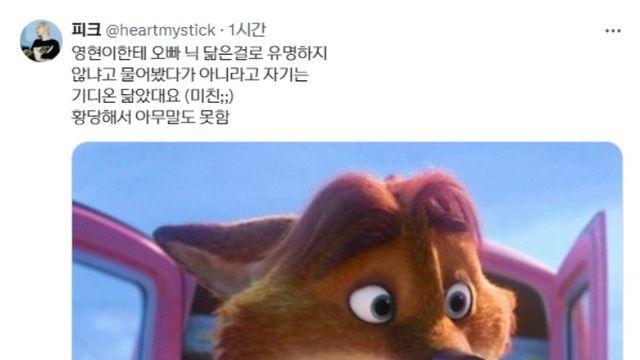 주토피아 닉 닮은 걸로 유명한 아이돌