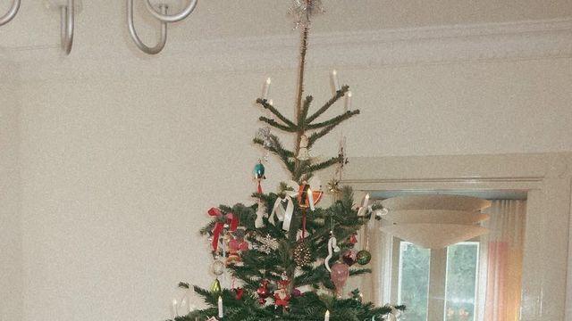 2025 크리스마스, 공간의 무드를 바꾸는 트리 스타일링 6