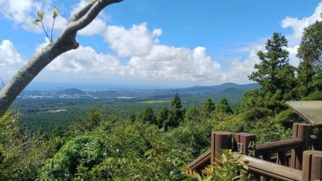 제주 한남사려니오름숲 탐방객 전년보다 3배 늘었다