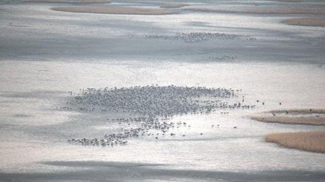 대한민국 제1호 국가정원 순천만, 국가해양생태공원도 품어