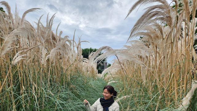 제주의 겨울 매력 탐방!... 자연·문화·휴식이 어우러진 힐링 스팟 7