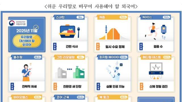 국립국어원은 왜 있는 건지 모르겠음