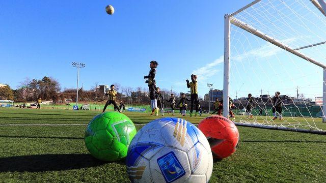 강원 고성군, 전지훈련·스포츠 대회 유치로 지역 경제 활력