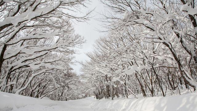 '한라산·온천·고기국수' 나만의 방식으로 즐기는 겨울 제주