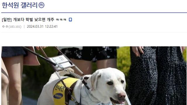 개보다 학벌 낮으면 개추