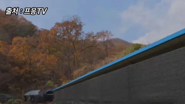 [스압] 프응의 ‘벌침으로 양주시 공무원 다라이 따라잡기’,,