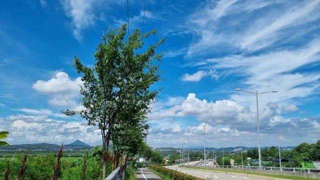 티켓팅부터 시작하는 밐스포 후기(일기장)