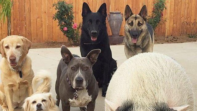 KRPG 개발자 1인칭 시점...jpg