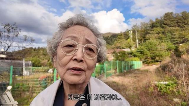 김영옥, 숨겨놓은 '800평' 가평 땅 최초 공개… 