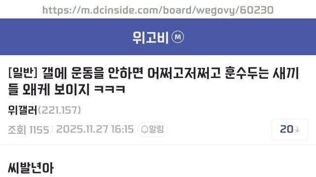 운동안한다는 훈수충들 죽이고싶다는 위고비갤러 