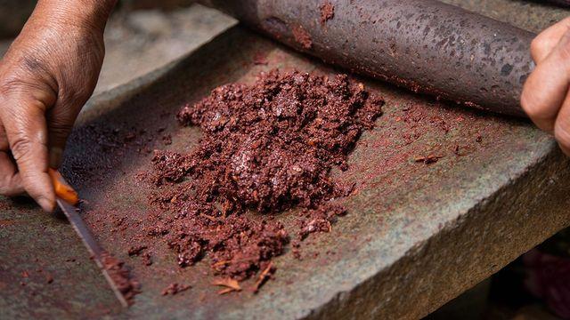 속 편해지는 커피 대체 음료 정체