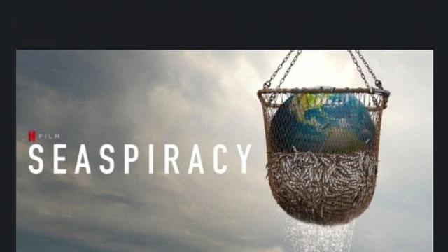 연어는 왜 주황색일까?