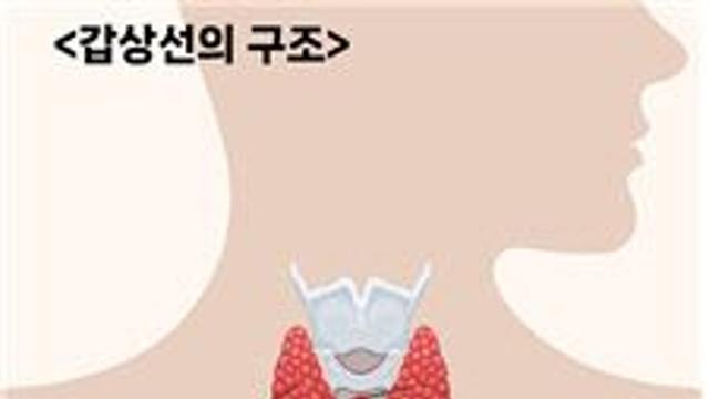 저위험 갑상선 협부암 환자, 협부절제술도 안전하고 효과적