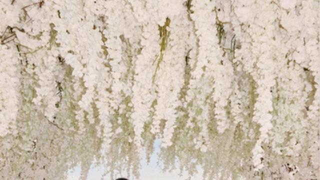 온주완X민아, 인도네시아 발리서 로맨틱 결혼... 비공개 웨딩 화보 공개