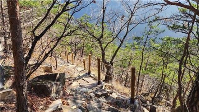 동해 무릉계곡 새로운 명소 탄생…'피마름골 숲길' 개방