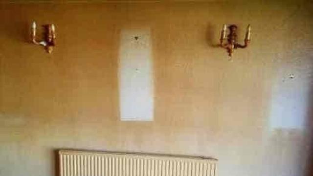 다음 중 최악의 세입자