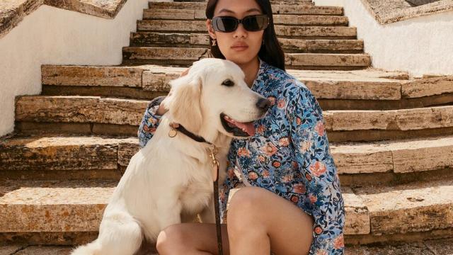 반려견도 함께 즐기는 럭셔리 패션? 루이 비통 2026 DOG 컬렉션 출시