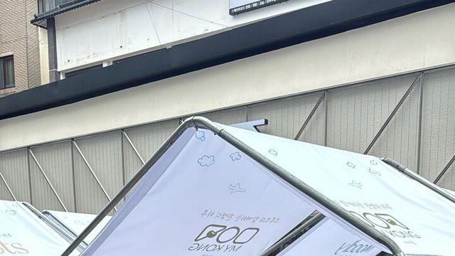 ‘마이콩’, 공유저작물 농산물 사진으로 '제주콩' 신선함 담아