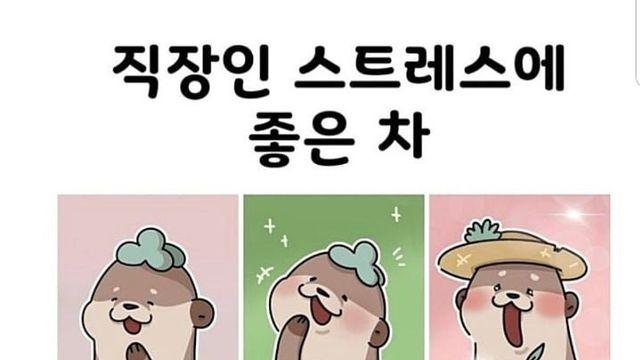 직장인 스트레스에 좋은 차