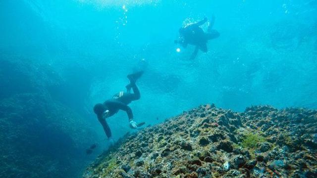 버려지던 준설암…전복·해삼 등 부착 해양 생물 터전으로