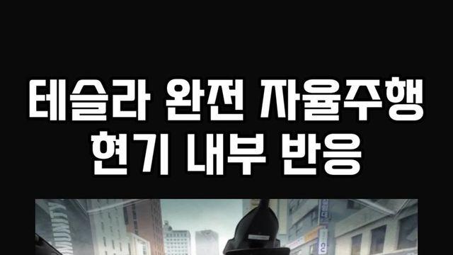 테슬라 FSD 현기 내부 반응