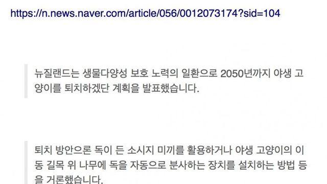 길고양이 뿌리뽑겠다는 이 나라, 그리고 비교되는 캣맘 공화국