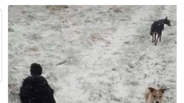 무조건 속을수밖에 없는 착시 사진