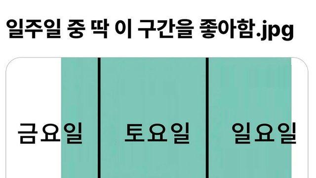 일주일 중 딱 이 구간을 좋아함