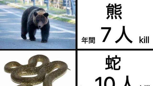 일본에서 매년 사람을 제일 많이 죽이는 것