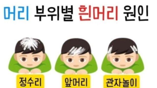 머리 부위별 흰머리 원인