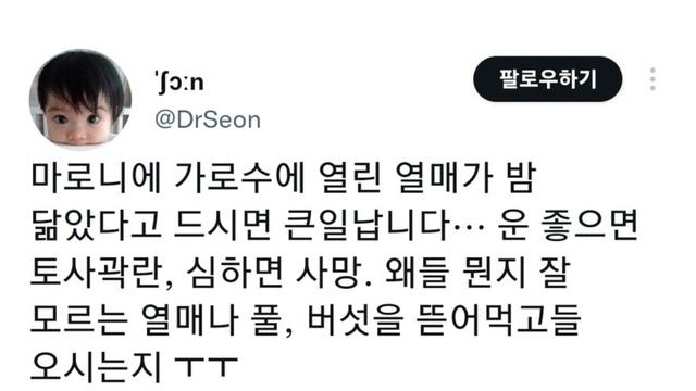 밤처럼 생겼지만 먹으면 큰일나는 열매