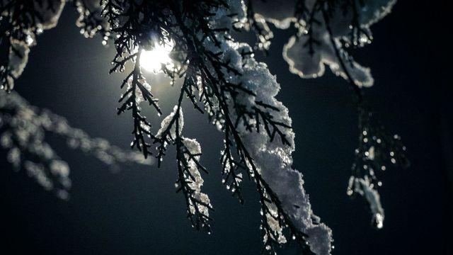 겨울 우울증 ‘윈터 블루스’ 극복 푸드 테라피 4