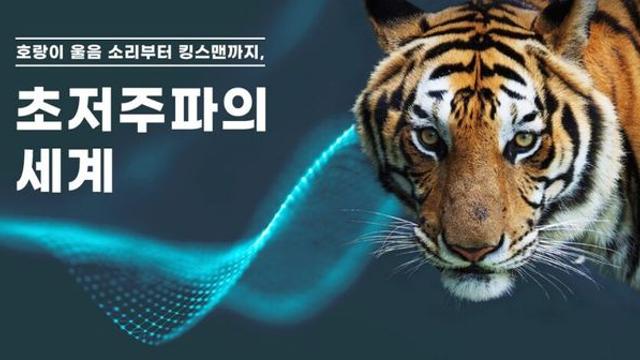 호랑이가 나타나면 움츠려드는 이유