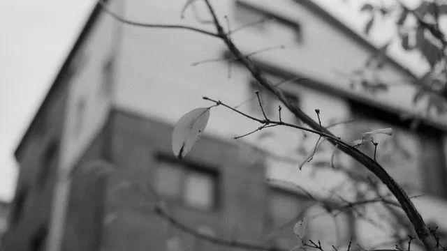 처음 써본 상학이오빠필름 with 조나