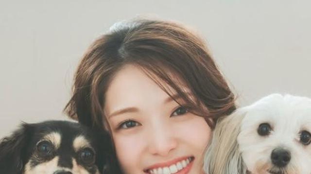 사유리, '결혼+임신' 동시에…♥상대는 연상의 회사원