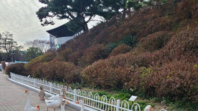 오붕이도 새 사진 올려봅니다. ㅋㅋ