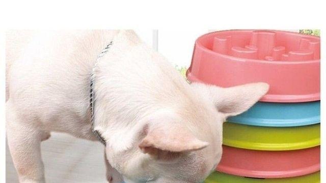 급하게 먹는 강아지를 위해 개발된 밥그릇